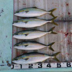 火遠理丸（ほおりまる） 釣果