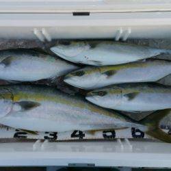 火遠理丸(ほおりまる) 釣果