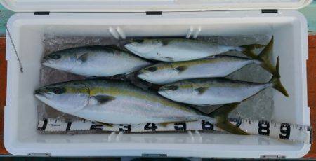 火遠理丸（ほおりまる） 釣果