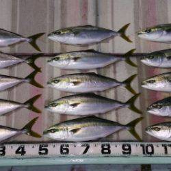 火遠理丸(ほおりまる) 釣果