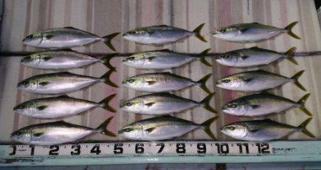 火遠理丸(ほおりまる) 釣果