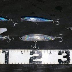 火遠理丸(ほおりまる) 釣果