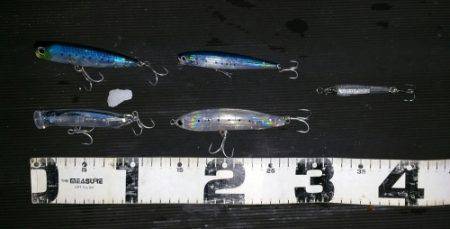 火遠理丸(ほおりまる) 釣果