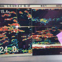 火遠理丸(ほおりまる) 釣果