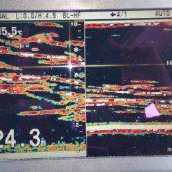 火遠理丸(ほおりまる) 釣果