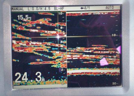 火遠理丸(ほおりまる) 釣果