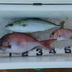 火遠理丸（ほおりまる） 釣果