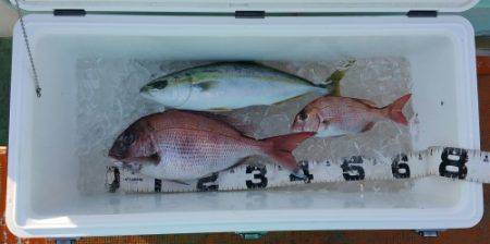 火遠理丸（ほおりまる） 釣果