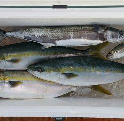 火遠理丸（ほおりまる） 釣果