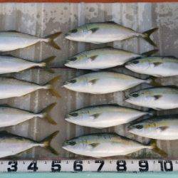 火遠理丸（ほおりまる） 釣果