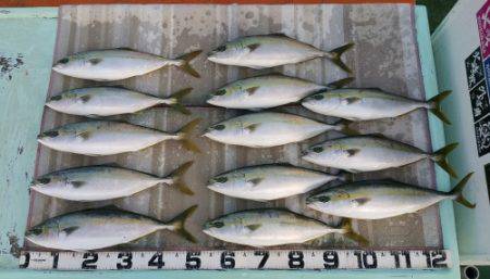 火遠理丸（ほおりまる） 釣果