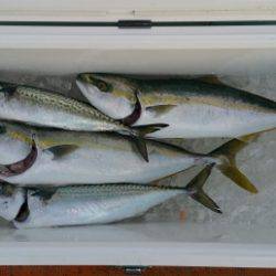 火遠理丸(ほおりまる) 釣果