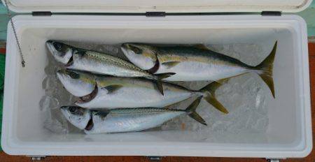 火遠理丸(ほおりまる) 釣果