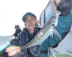 久里浜黒川本家 釣果