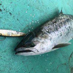広進丸 釣果