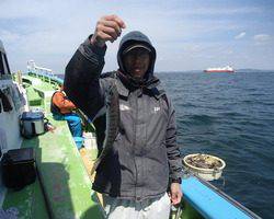 久里浜黒川本家 釣果