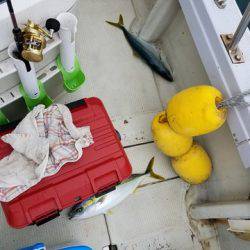 遊漁船 ニライカナイ 釣果