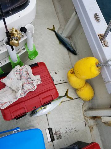 遊漁船 ニライカナイ 釣果