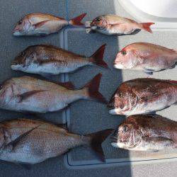 へいみつ丸 釣果