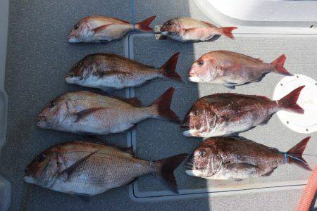 へいみつ丸 釣果