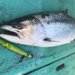 広進丸 釣果