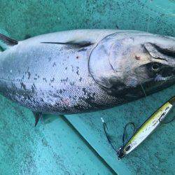 広進丸 釣果