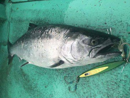 広進丸 釣果