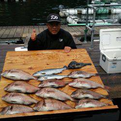 海上釣堀フィッシングレインボー 釣果