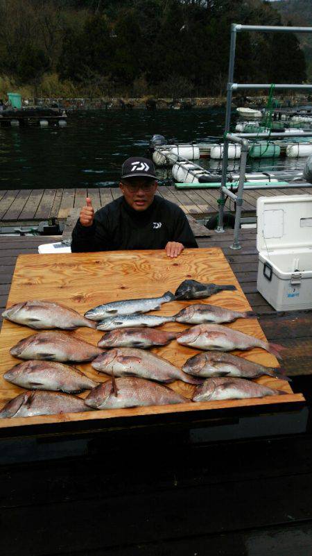 海上釣堀フィッシングレインボー 釣果