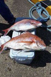 利八丸 釣果