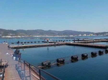 淡路じゃのひれフィッシングパーク 釣果