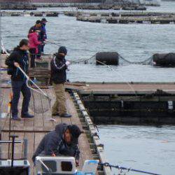 淡路じゃのひれフィッシングパーク 釣果