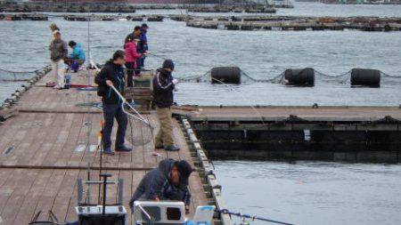 淡路じゃのひれフィッシングパーク 釣果