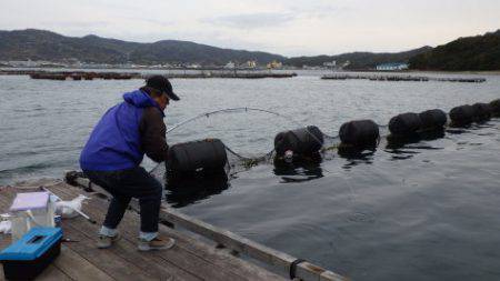 淡路じゃのひれフィッシングパーク 釣果