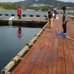 淡路じゃのひれフィッシングパーク 釣果