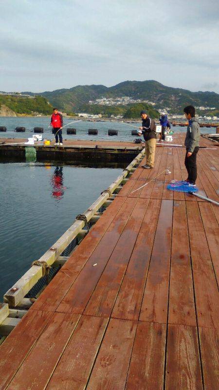 淡路じゃのひれフィッシングパーク 釣果