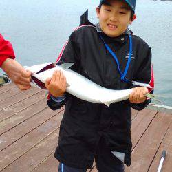 淡路じゃのひれフィッシングパーク 釣果