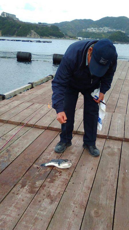 淡路じゃのひれフィッシングパーク 釣果