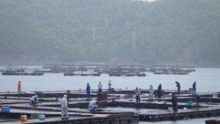 淡路じゃのひれフィッシングパーク 釣果