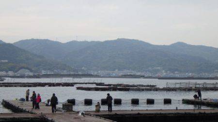 淡路じゃのひれフィッシングパーク 釣果