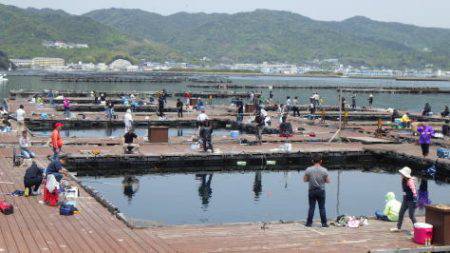淡路じゃのひれフィッシングパーク 釣果