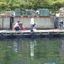 淡路じゃのひれフィッシングパーク 釣果