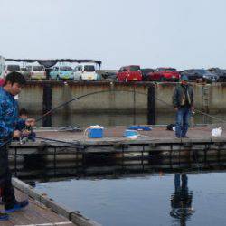 淡路じゃのひれフィッシングパーク 釣果