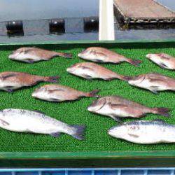 淡路じゃのひれフィッシングパーク 釣果