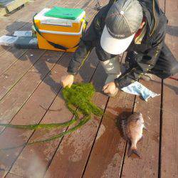 淡路じゃのひれフィッシングパーク 釣果