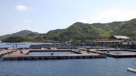 淡路じゃのひれフィッシングパーク 釣果