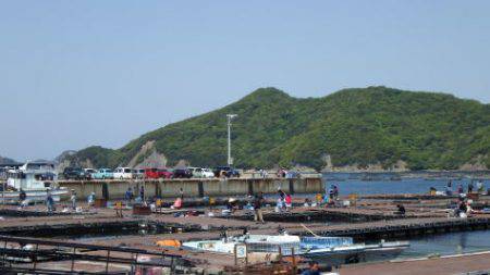 淡路じゃのひれフィッシングパーク 釣果