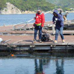 淡路じゃのひれフィッシングパーク 釣果