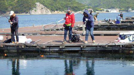 淡路じゃのひれフィッシングパーク 釣果