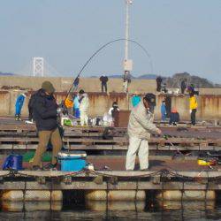 淡路じゃのひれフィッシングパーク 釣果